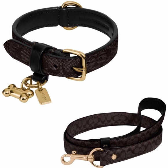 NWT 2 Piece Set: Coach Logo Dog Pet Leash + Collar - Picture 8 of 8